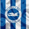 Câu lạc bộ bóng đá Brighton & Hove Albion – Lịch sử, thành tích của CLB