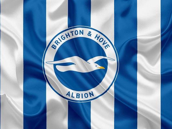 Câu lạc bộ bóng đá Brighton & Hove Albion – Lịch sử, thành tích của CLB